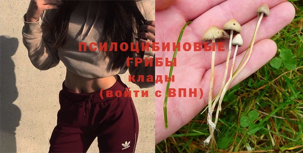 кокаин колумбия Новодвинск