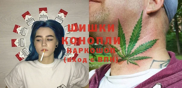 гидропоника Нязепетровск