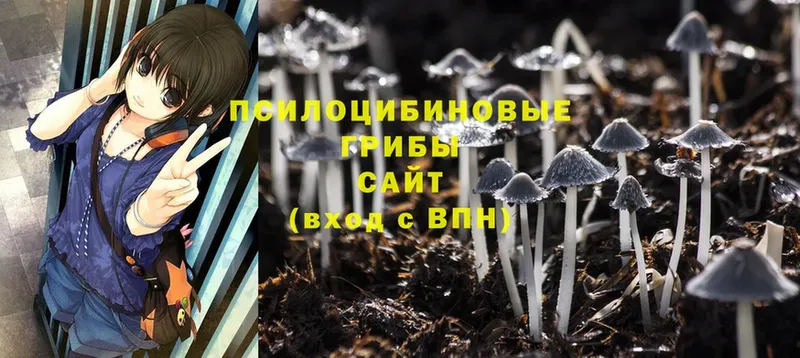 Галлюциногенные грибы Cubensis  МЕГА зеркало  Никольск 