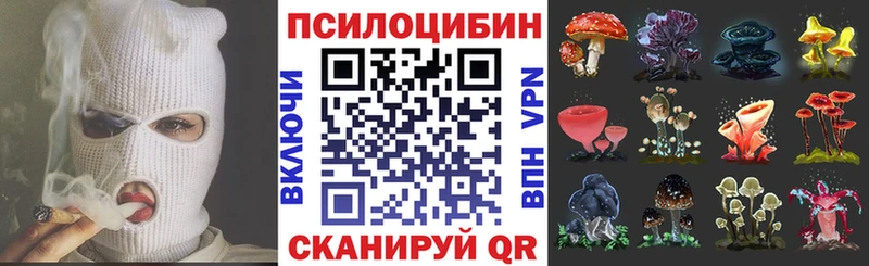 даркнет сайт  Никольск  Псилоцибиновые грибы Psilocybine cubensis 